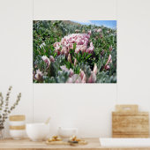 Alpine Tundra reeks Poster (Keuken)