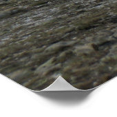 Alpine Tundra reeks Poster (Hoek)