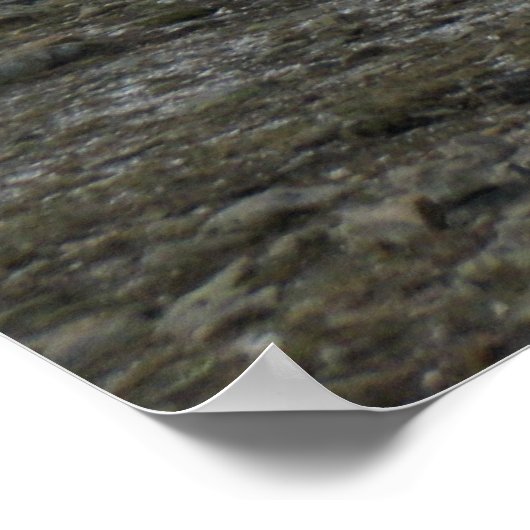 Alpine Tundra reeks Poster (Hoek)