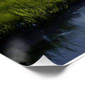 Alpine Valley Stream Green Meadows Snowy Peaks Perfect Poster (Hoek)