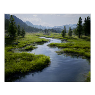 Alpine Valley Stream Green Meadows Snowy Peaks Perfect Poster