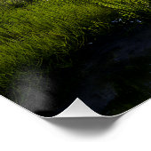 Alpine Valley Stream Green Meadows Snowy Peaks Perfect Poster (Hoek)