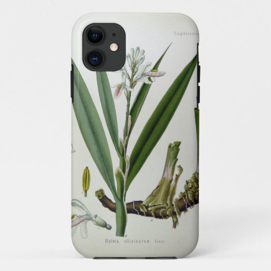 Alpinia officinarum Case-Mate iPhone case (Achterkant)