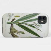 Alpinia officinarum Case-Mate iPhone case (Achterkant (horizontaal))