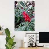 Alpínia purpurata 1 poster (Thuiskantoor)