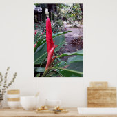 Alpínia purpurata 2 poster (Keuken)