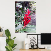 Alpínia purpurata 4 poster (Thuiskantoor)