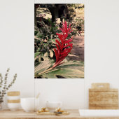 Alpínia purpurata 5 poster (Keuken)