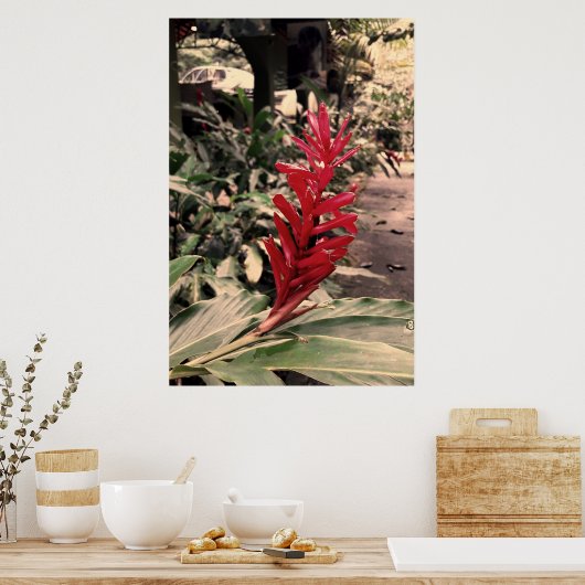 Alpínia purpurata 5 poster (Keuken)