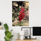 Alpínia purpurata 5 poster (Thuiskantoor)