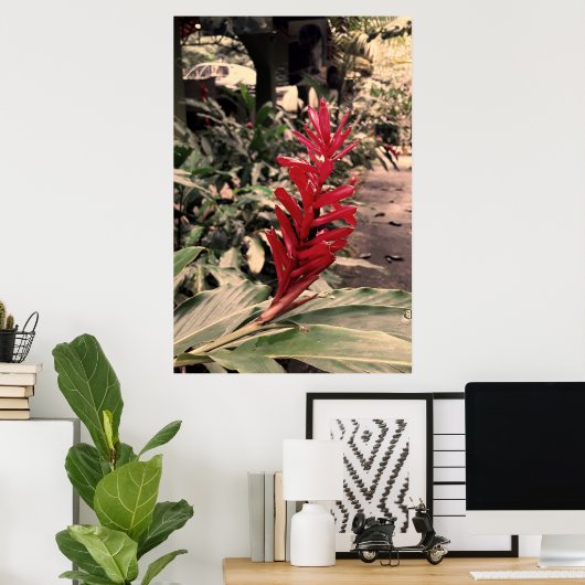 Alpínia purpurata 5 poster (Thuiskantoor)