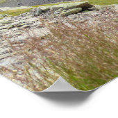 Alps Chamonix Ibex Poster (Hoek)