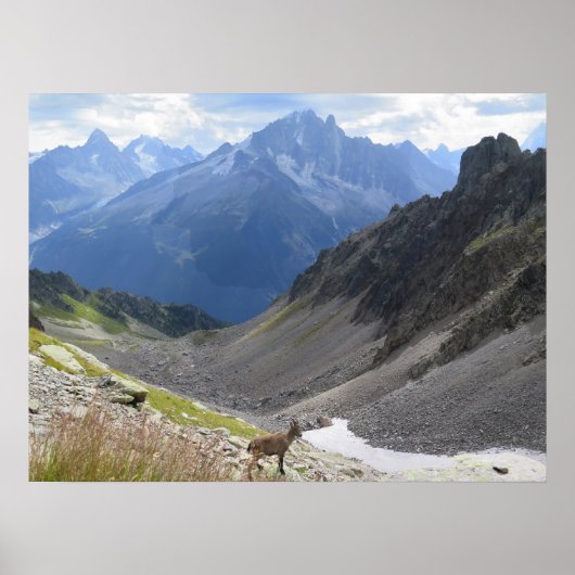 Alps Chamonix Ibex Poster (Voorkant)