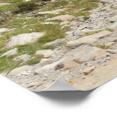 Alps Chamonix Poster (Hoek)