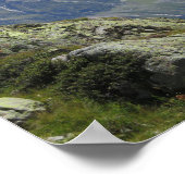 Alps Chamonix Poster (Hoek)