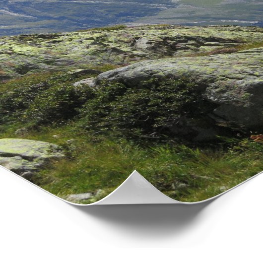 Alps Chamonix Poster (Hoek)