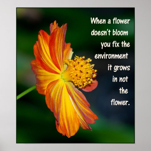 Als de bloem niet bloeit... poster (Voorkant)