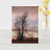 Als de dag voorbij is kaart (Gele Bloem)