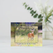 Als de Deer Pants voor de Water Brooks... Briefkaart (Staand voorkant)