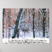 Als de Deer Pants voor het water... Poster (Voorkant)