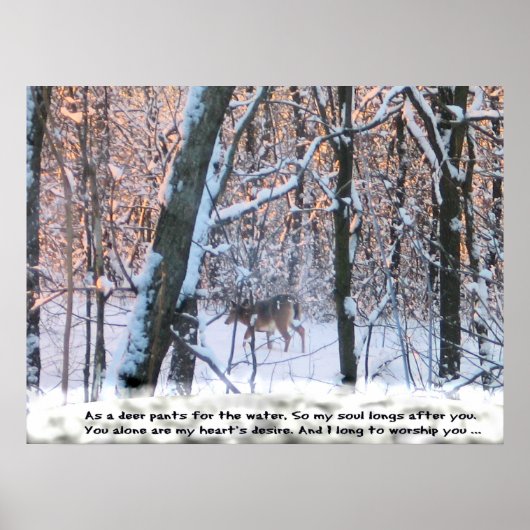 Als de Deer Pants voor het water... Poster (Voorkant)