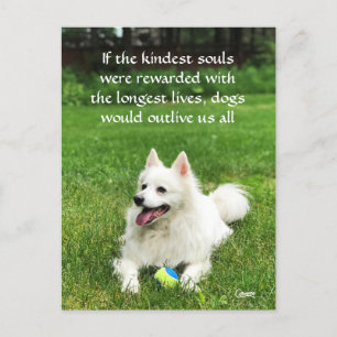 Als de Kindest zielen - Briefkaart