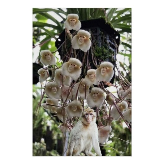 Als de natuur de natuur kopieert. perfect poster (Voorkant)