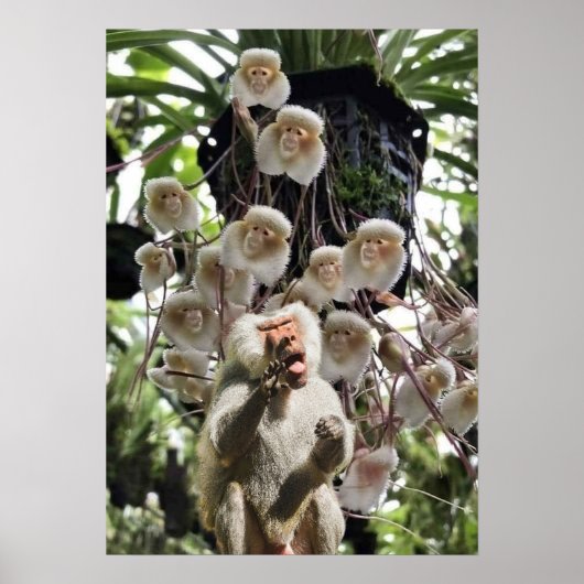 Als de natuur de natuur kopieert. poster (Voorkant)