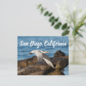 Als de Tern vliegt San Diego, Californië Briefkaart (Staand voorkant)