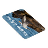 Als de Tern vliegt San Diego, Californië Magneet (Rechterzijde)