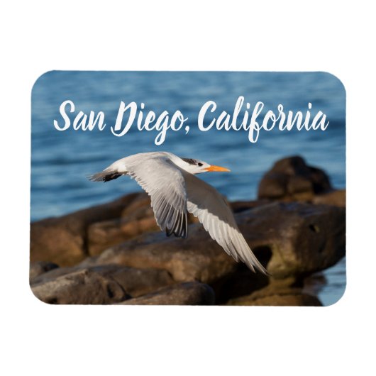 Als de Tern vliegt San Diego, Californië Magneet (Horizontaal)
