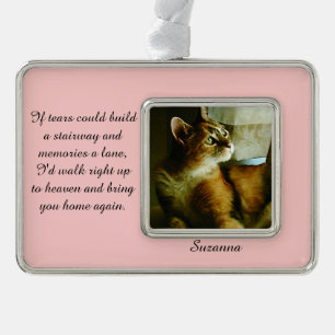 Als de Tranen een trappenhuis kunnen bouwen Verzilverd Omlijst Ornament