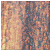 Als de zon ondergaat..... stof (Close Up)
