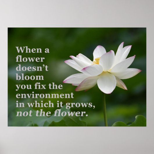 Als een bloem niet bloeit Poster (Voorkant)