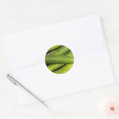 Als een koele komkommer ronde sticker (Envelop)