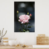 Als een roos poster (Keuken)