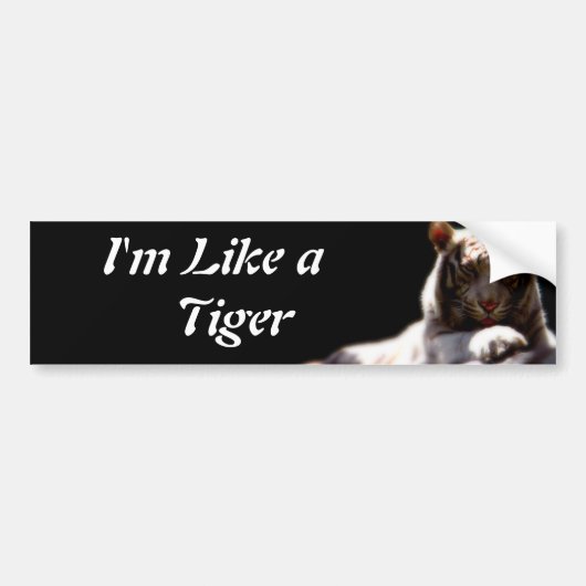 Als een tijger bumpersticker (Voorkant)