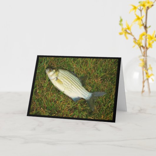 Als een vis uit het water? Kaart krijgen (Gele Bloem)