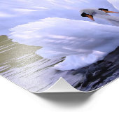 Als een, Zwans door Danny Hahlbohm Foto Afdruk (Hoek)