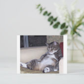 Als er een broek of een beha voor nodig is... briefkaart (Staand voorkant)