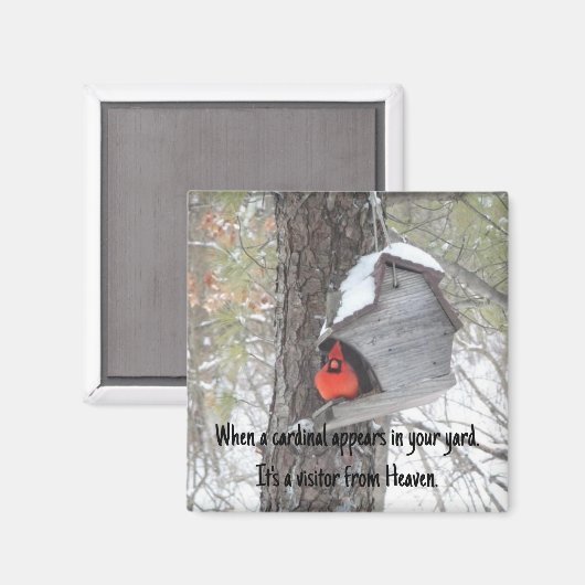 Als er een kardinaal in je tuin verschijnt. Magnee Magneet (Voorkant / Achterkant)