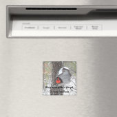 Als er een kardinaal in je tuin verschijnt. Magnee Magneet (Insitu (Vaatwasser))