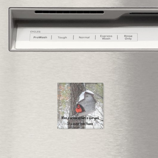 Als er een kardinaal in je tuin verschijnt. Magnee Magneet (Insitu (Vaatwasser))