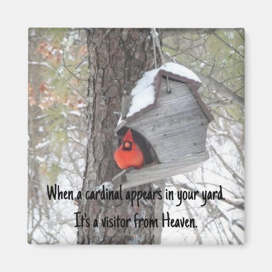 Als er een kardinaal in je tuin verschijnt. Magnee Magneet (Voorkant)