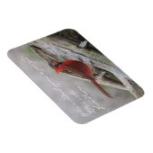Als er een kardinaal in je tuin verschijnt.. magneet (Rechterzijde)