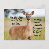 Als hertenbroekje voor water, Bijbel Psalm 42 Aang Briefkaart (Voorkant)