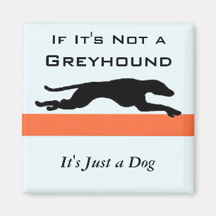 Als het geen Greyhound is, is het maar een hond. Magneet