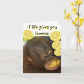 Als het leven je citroenen geeft kaart (Gele Bloem)