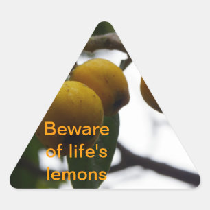 Als het leven je leemten geeft... sticker