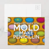 ALS HET LEVEN JE SCHIMMEL GEEFT BRIEFKAART (Voorkant / Achterkant)